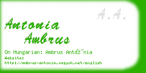 antonia ambrus business card